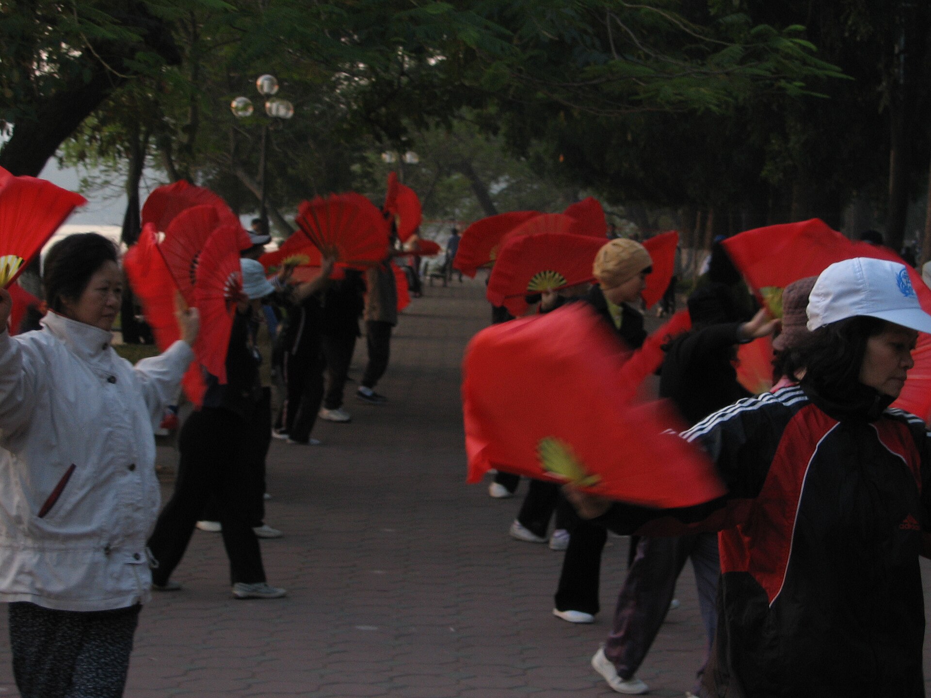 Asia Is Ageing Faster Than We Think: How Long Vietnam's Golden Population Window Has Left