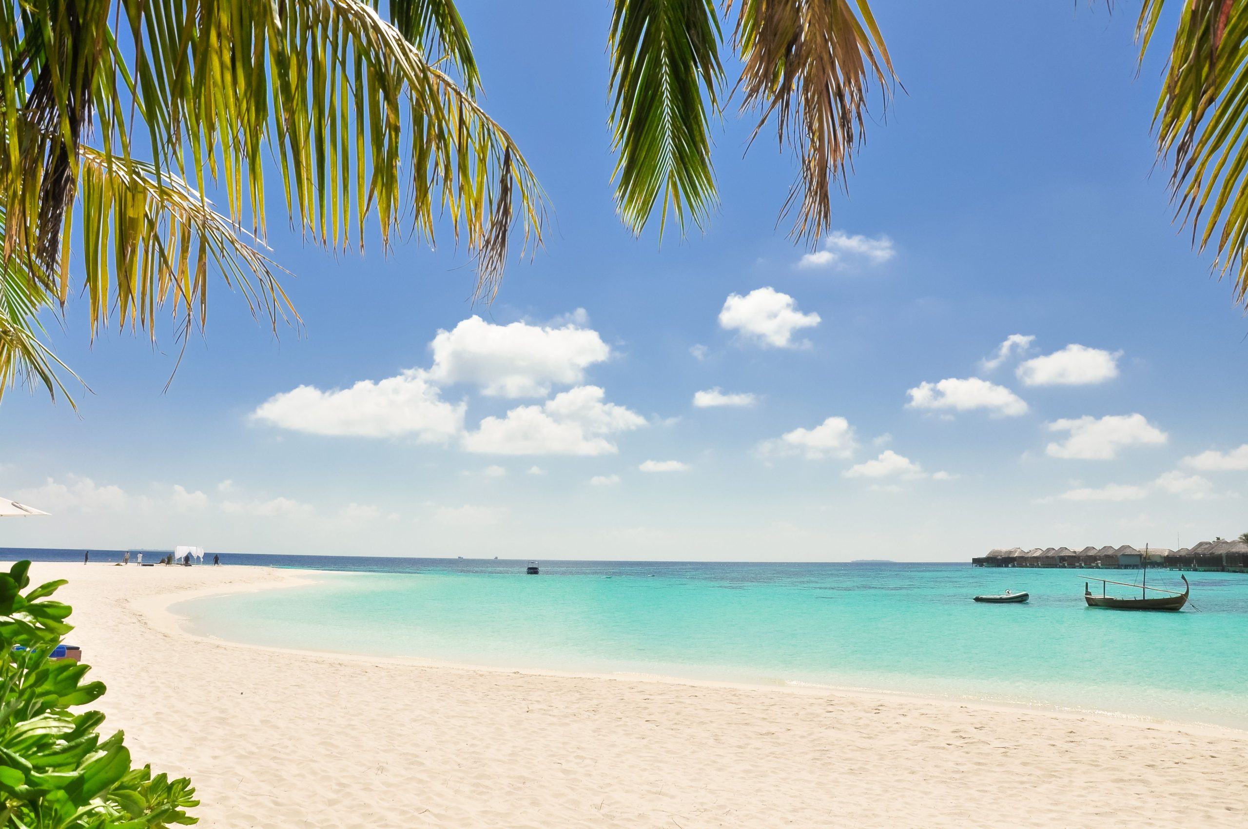 Phú Quốc Branded Resort Villas 2026: Phân Tích 3 Lớp Người Mua — Người Việt, Viet Kieu Và Người Nước Ngoài